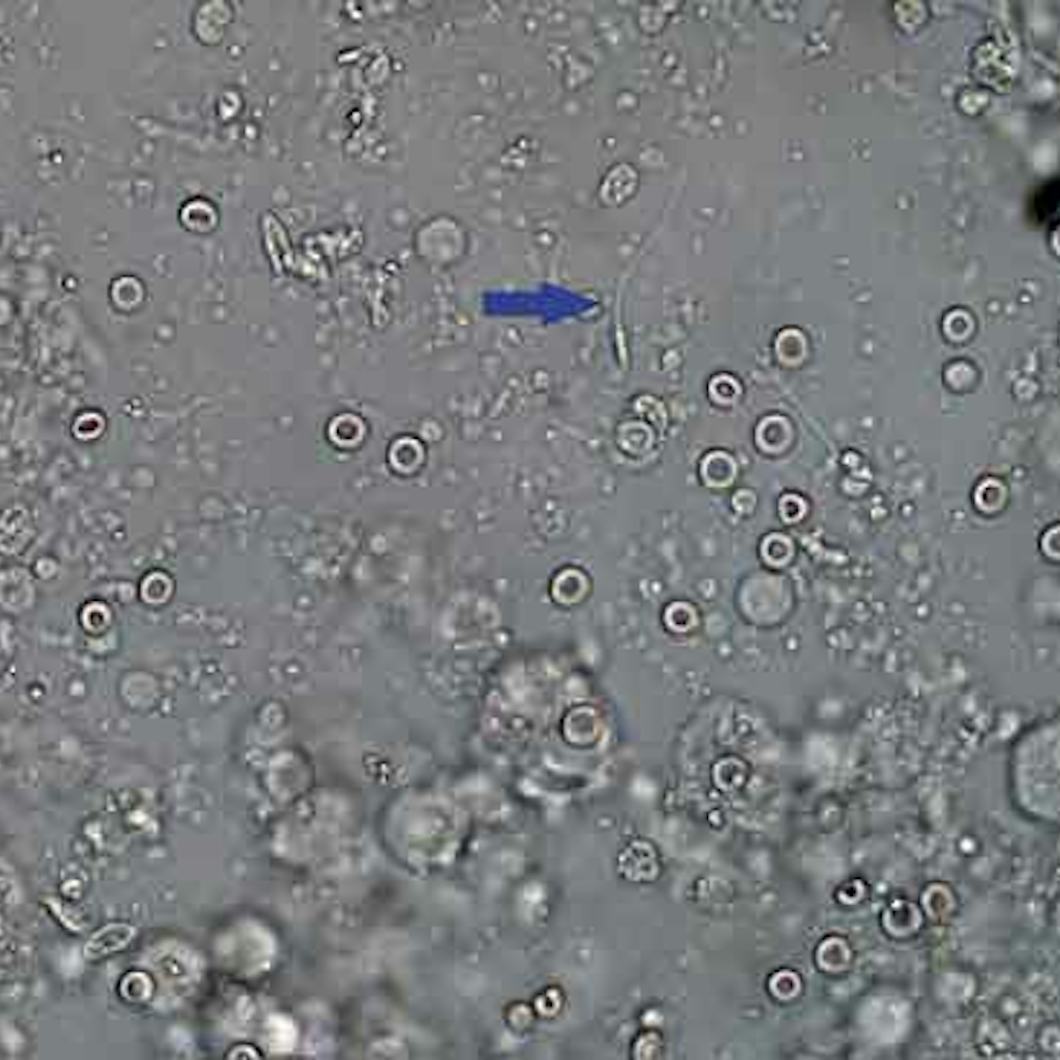 Toliq raqamlar bilan uy qurilishi porno video Anna Dubrovskaya erotik filmlar